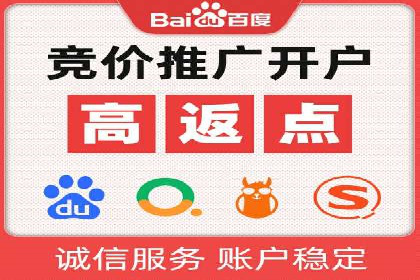 百度竞价代理实战：案例剖析与优化策略